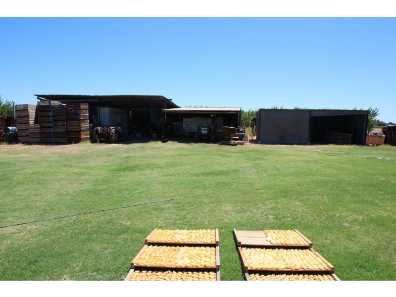 34 Government Road, Renmark SA 5341