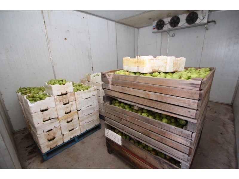 34 Government Road, Renmark SA 5341