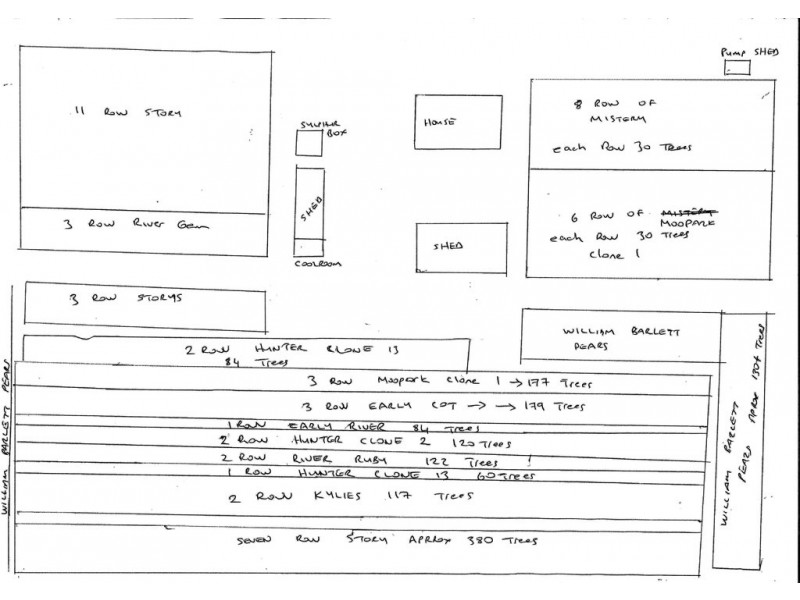 34 Government Road, Renmark SA 5341