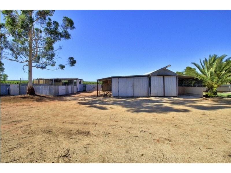 163 PARUNA ROAD, Loxton SA 5333