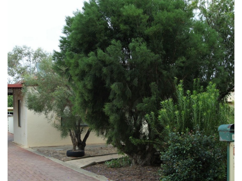 5 Sadlier Street, Loxton SA 5333