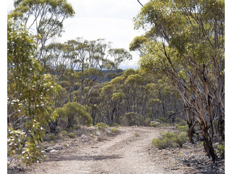 Lots 2, 9 and 11 Bushland Estate, Blanchetown SA 5357