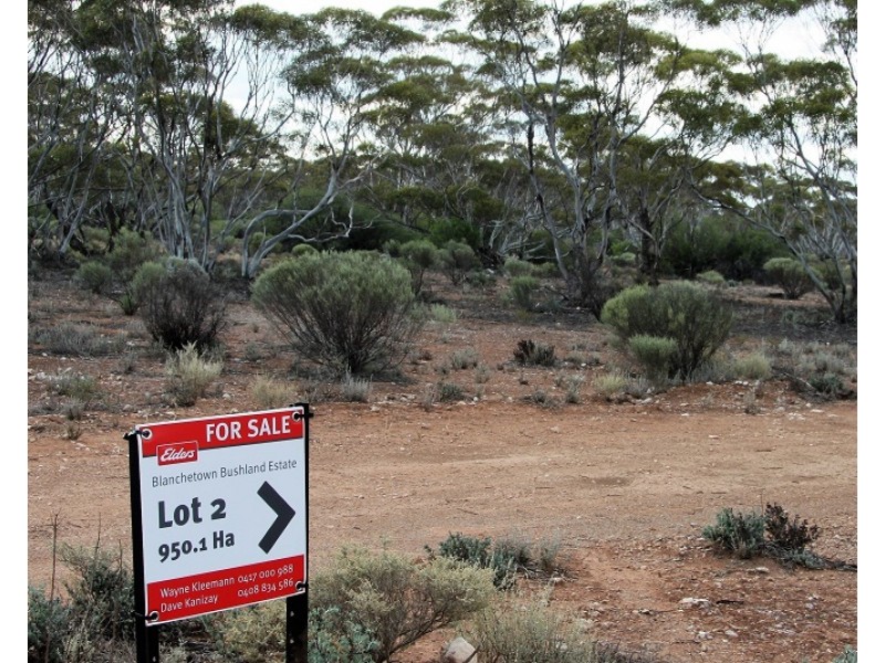 Lots 2, 9 and 11 Bushland Estate, Blanchetown SA 5357