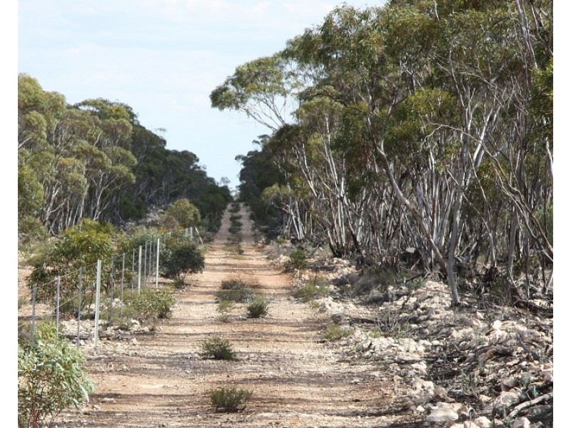 Lots 2, 9 and 11 Bushland Estate, Blanchetown SA 5357