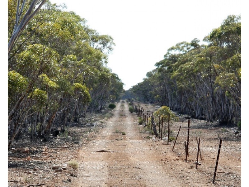 Lots 2, 9 and 11 Bushland Estate, Blanchetown SA 5357