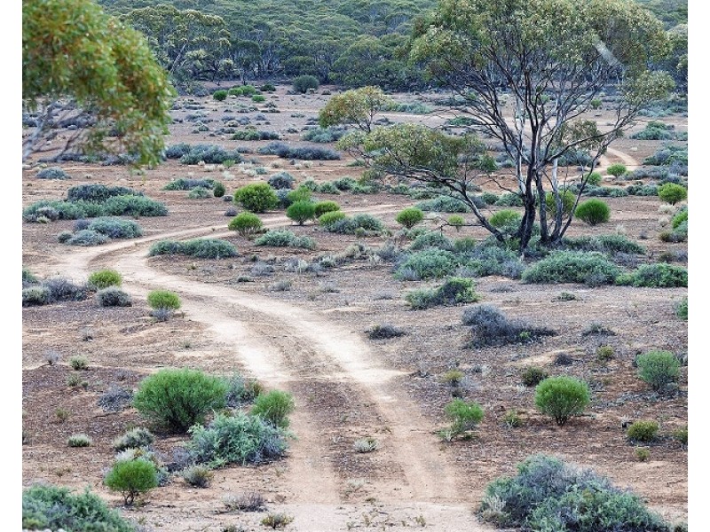 Lots 2, 9 and 11 Bushland Estate, Blanchetown SA 5357