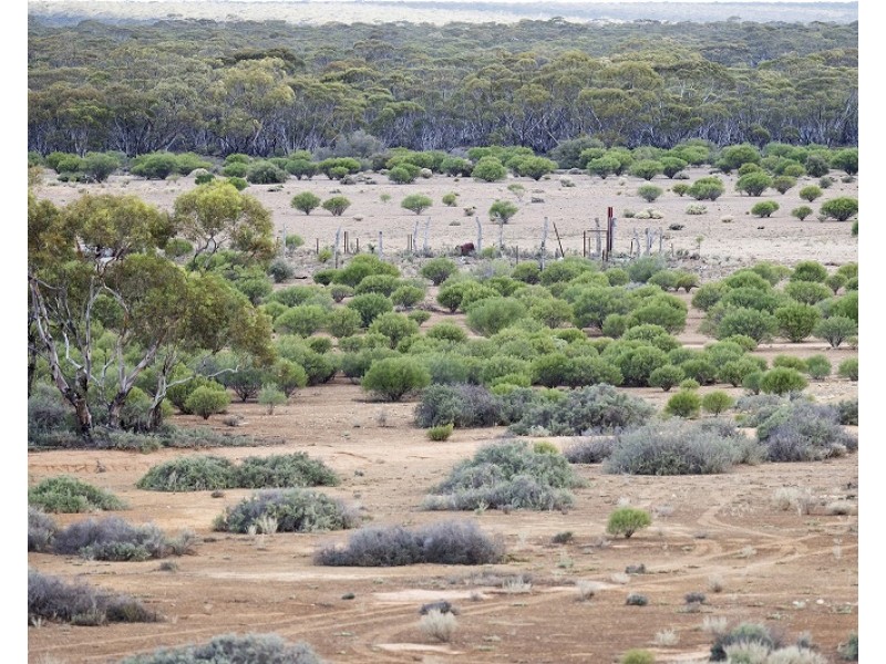 Lots 2, 9 and 11 Bushland Estate, Blanchetown SA 5357