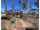9 Charleson Road, Wanbi SA 5310