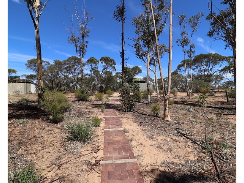 9 Charleson Road, Wanbi SA 5310