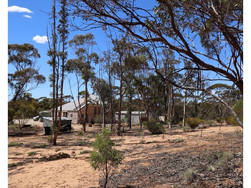 9 Charleson Road, Wanbi SA 5310