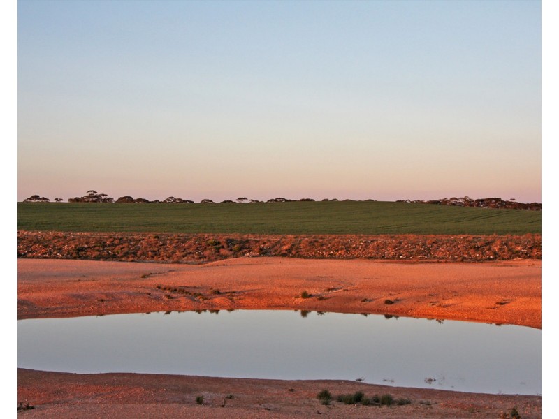 Sec 35 and 411 Maggea Road, Waikerie SA 5330