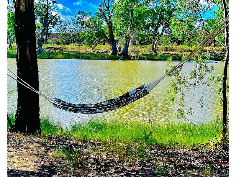 Lot 123 Murraylands Road, Fisher SA 5354