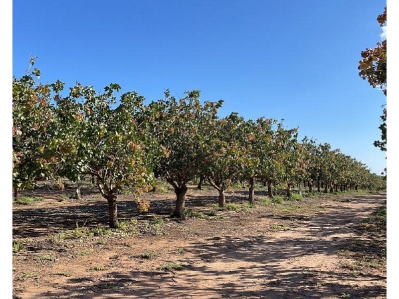 Lot 123 Murraylands Road, Fisher SA 5354