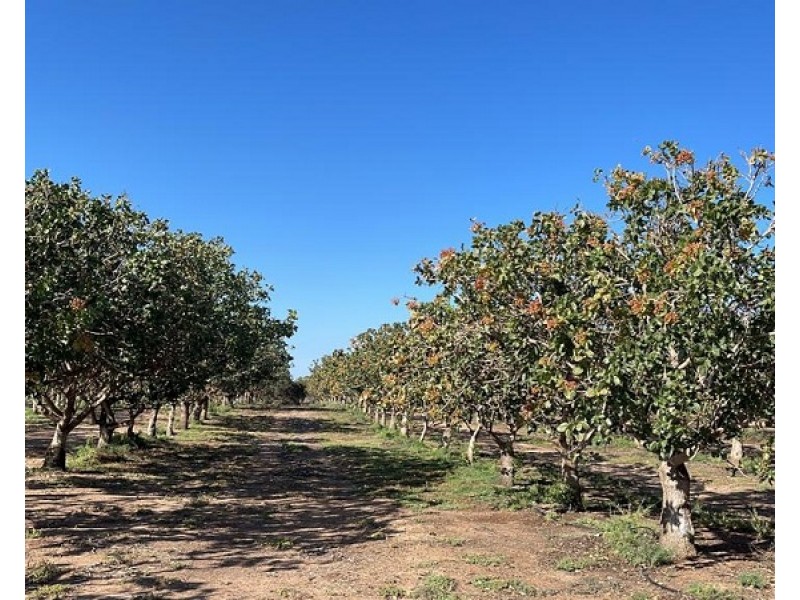 Lot 123 Murraylands Road, Fisher SA 5354