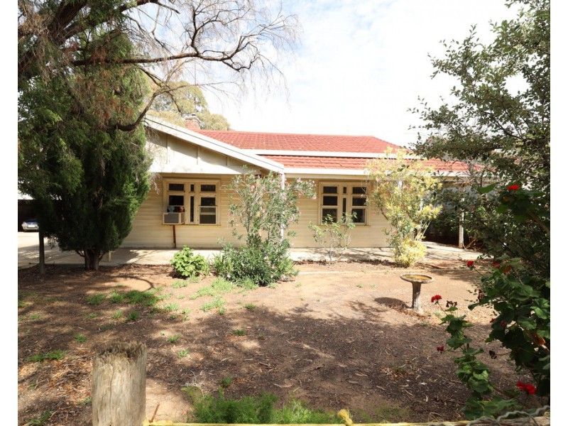 17 Pethick Street, Pinnaroo SA 5304