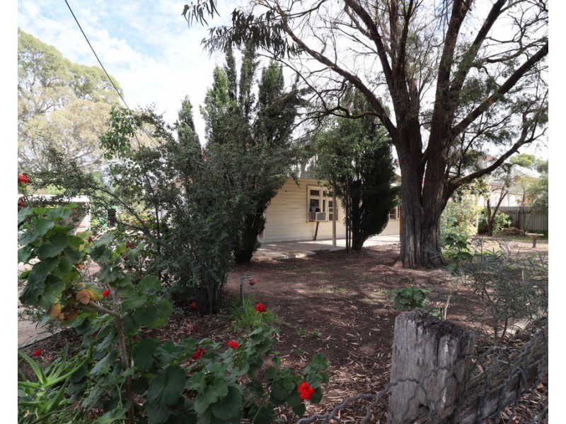 17 Pethick Street, Pinnaroo SA 5304