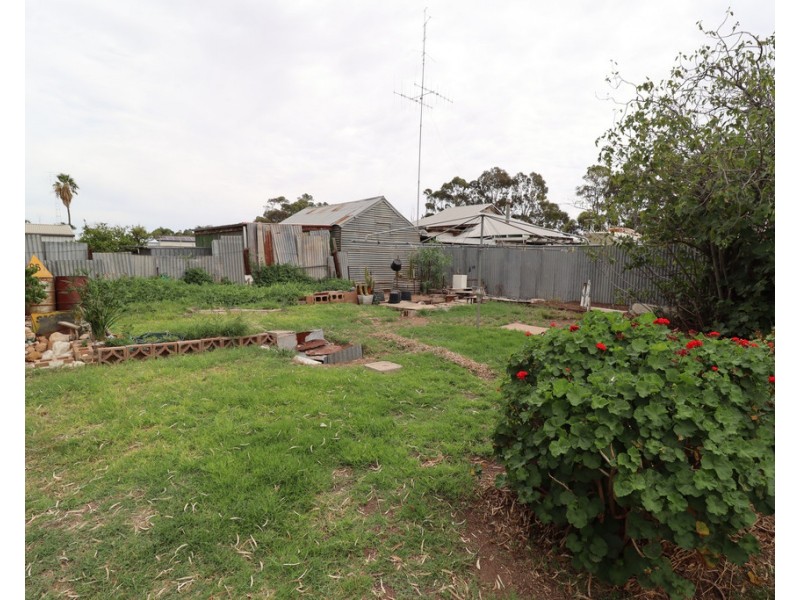 17 Pethick Street, Pinnaroo SA 5304