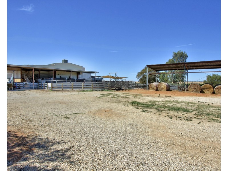 134 Bullwinkle Road, Loxton SA 5333