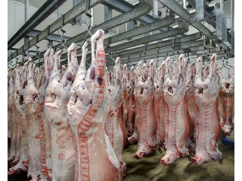 134 Bullwinkle Road, Loxton SA 5333