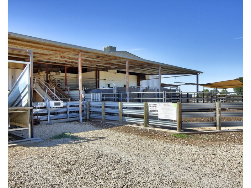 134 Bullwinkle Road, Loxton SA 5333