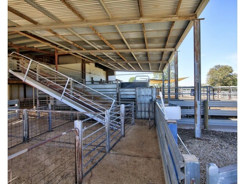 134 Bullwinkle Road, Loxton SA 5333