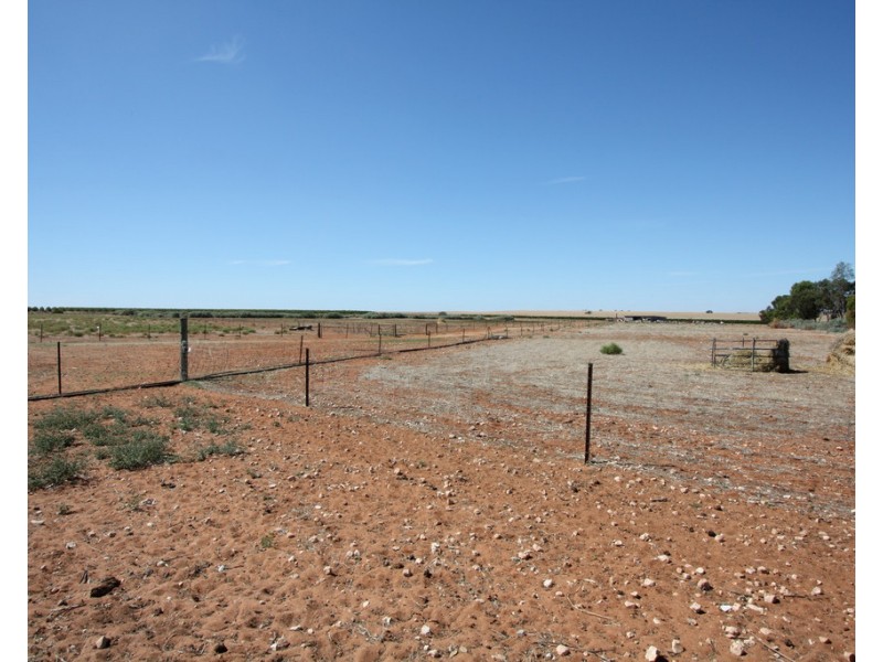 134 Bullwinkle Road, Loxton SA 5333