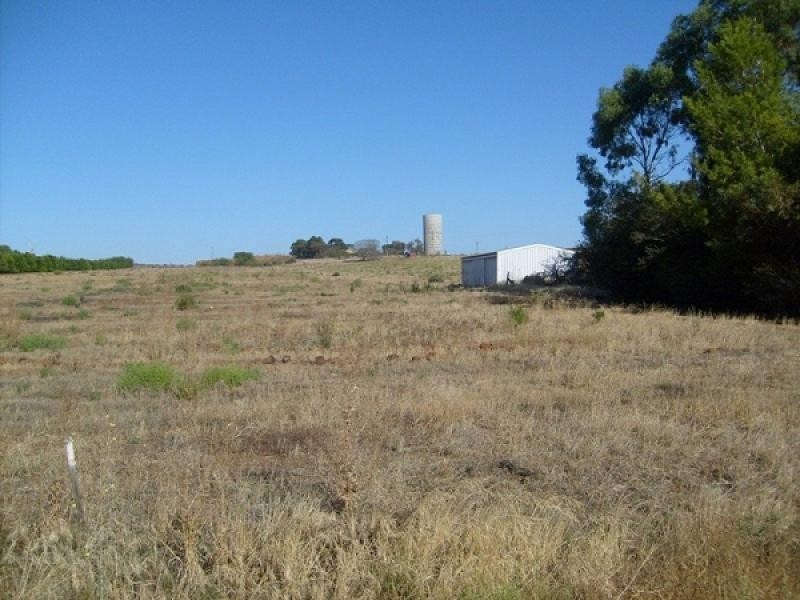 Lot 100 or 101, Moorook SA 5332