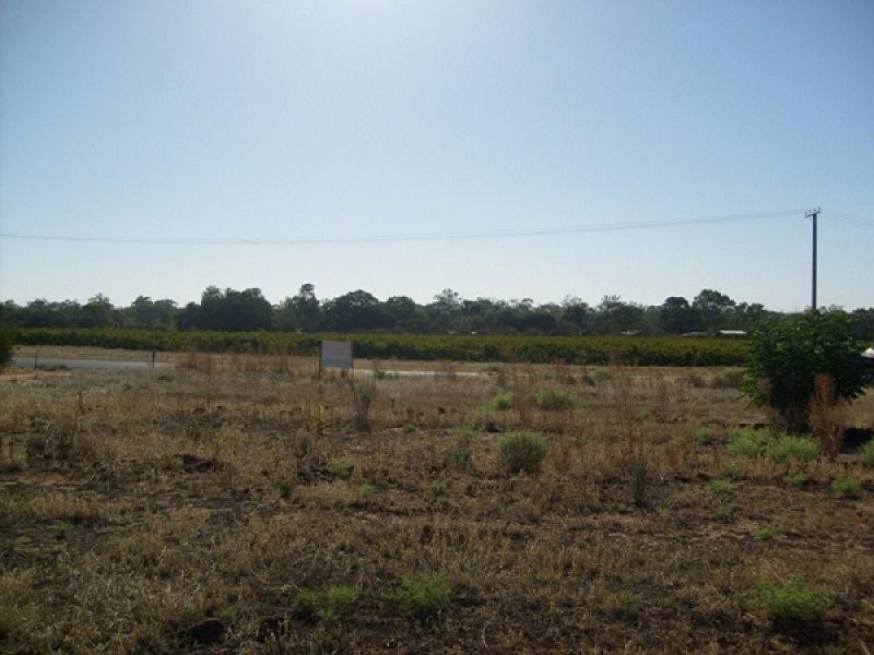 Lot 100 or 101, Moorook SA 5332