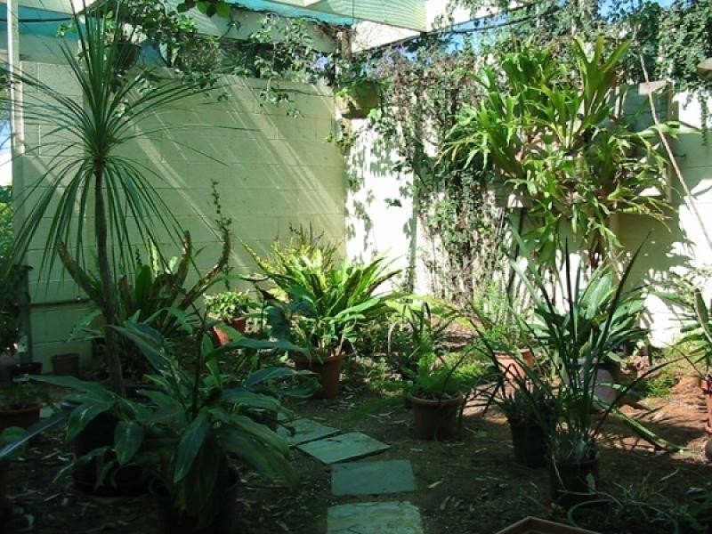 7 Scott Avenue, Barmera SA 5345