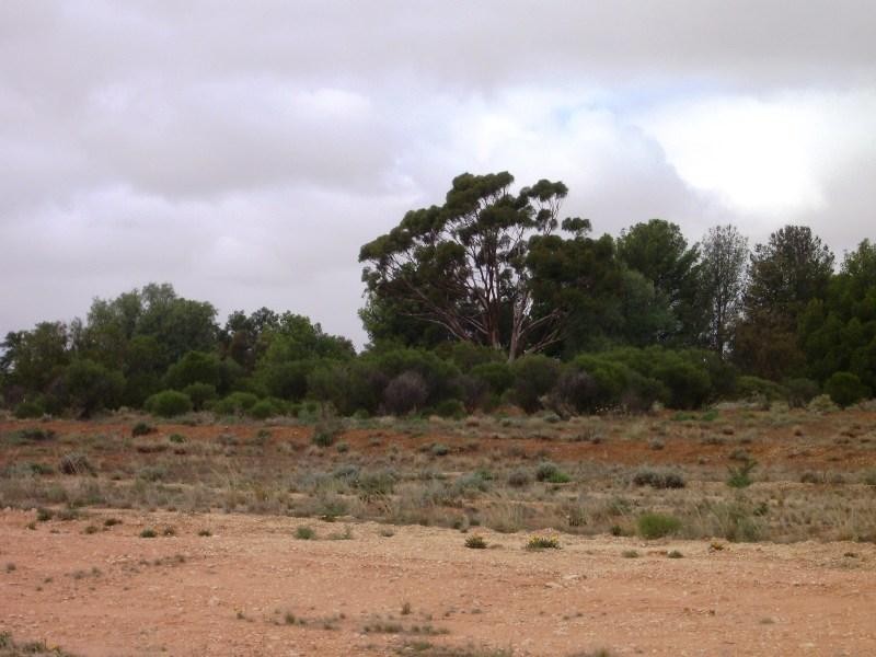 Lot 7 Gurney Road, Loxton North SA 5333