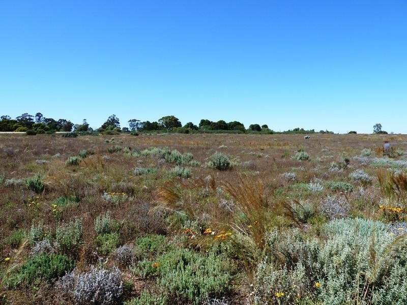 Lot 7 Gurney Road, Loxton North SA 5333