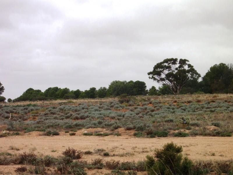 Lot 7 Gurney Road, Loxton North SA 5333
