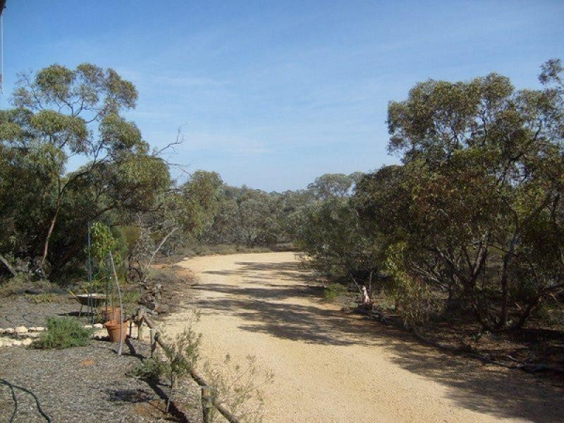 Section 543/ O’Callaghan Road, Monash SA 5342