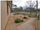 337 Oxford Landing Road, Waikerie SA 5330