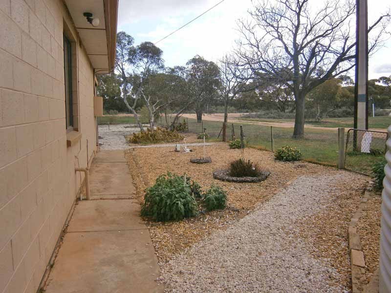 337 Oxford Landing Road, Waikerie SA 5330