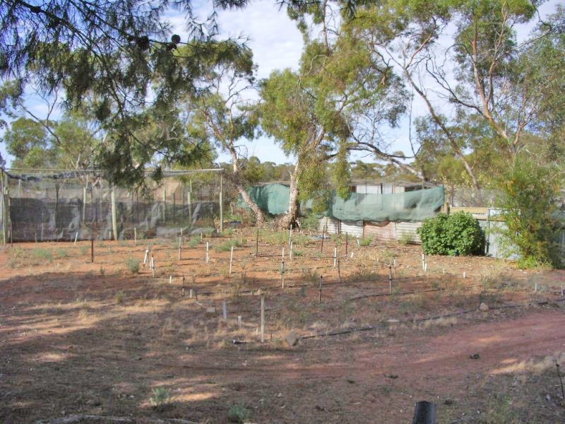 337 Oxford Landing Road, Waikerie SA 5330