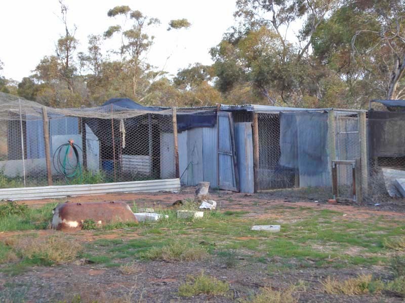 337 Oxford Landing Road, Waikerie SA 5330