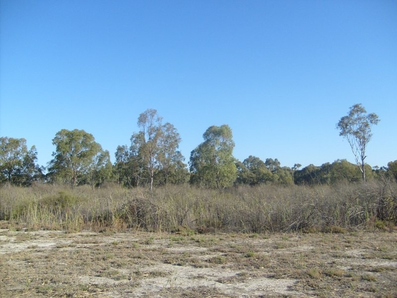 Section 589 River Terrace, Kingston On Murray SA 5331