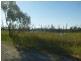 Section 589 River Terrace, Kingston On Murray SA 5331