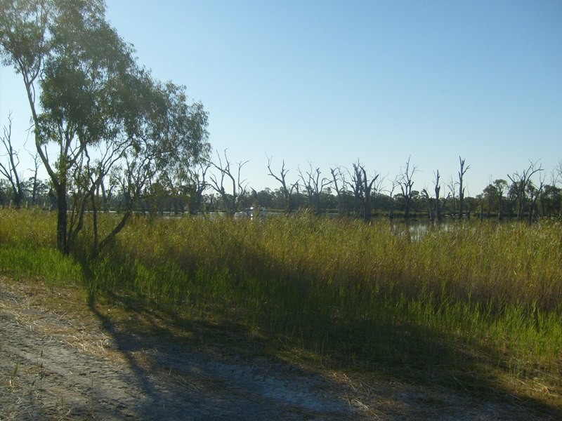 Section 589 River Terrace, Kingston On Murray SA 5331