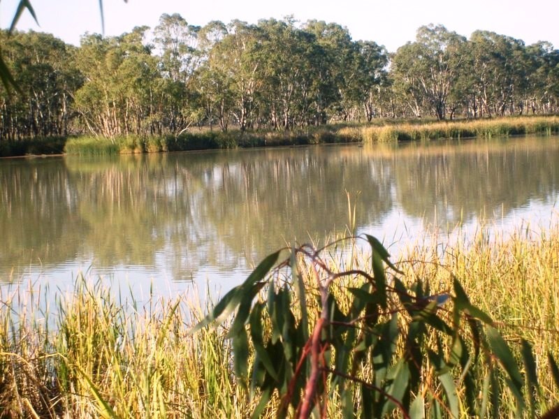 Section 589 River Terrace, Kingston On Murray SA 5331