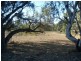 Section 589 River Terrace, Kingston On Murray SA 5331