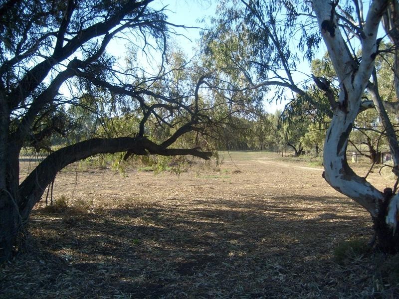 Section 589 River Terrace, Kingston On Murray SA 5331