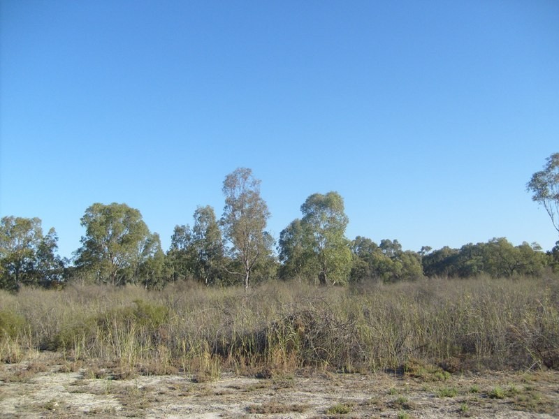 Section 589 River Terrace, Kingston On Murray SA 5331
