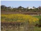 Lot 33 Farley Road, Kingston On Murray SA 5331