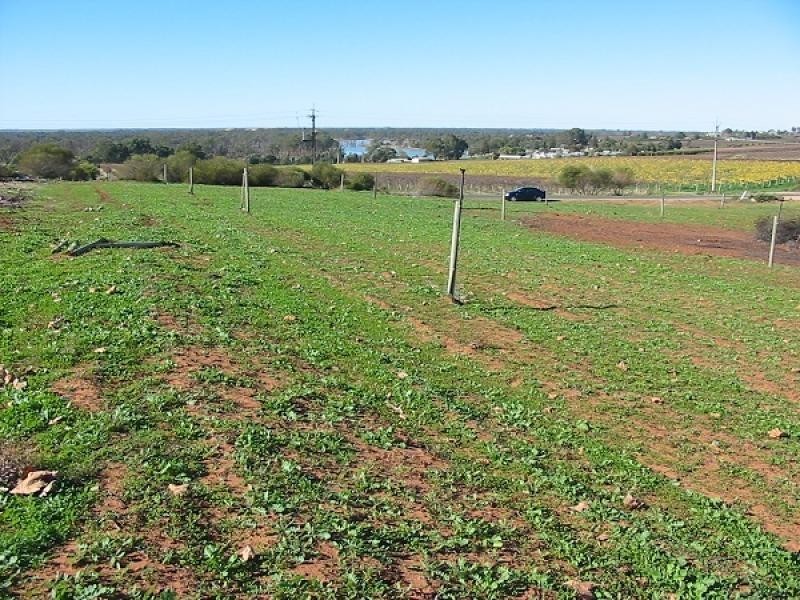 Lot 33 Farley Road, Kingston On Murray SA 5331