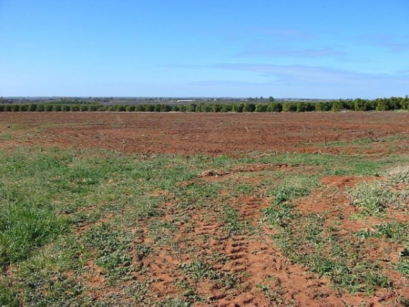 Lot 276 Cooltong Avenue, Cooltong SA 5341