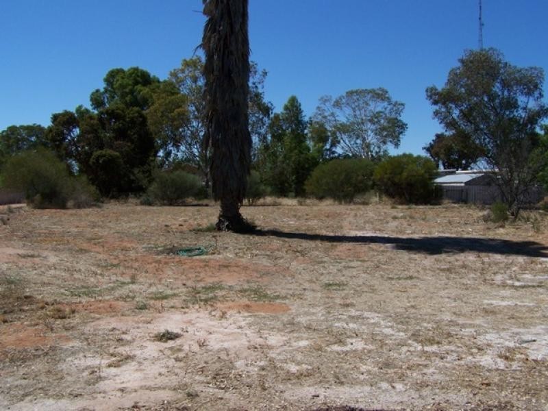 43 McGuire Street, Cadell SA 5321