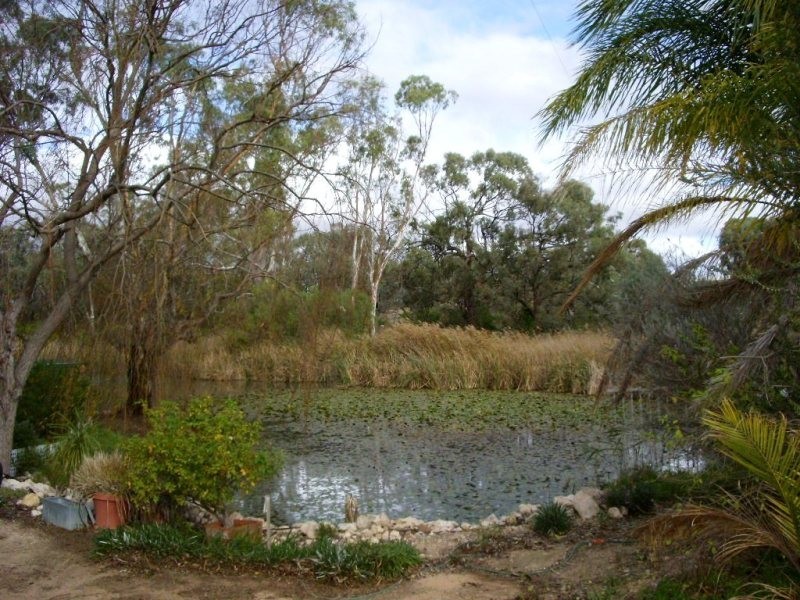 Lot 2 River Drive, Blanchetown SA 5357