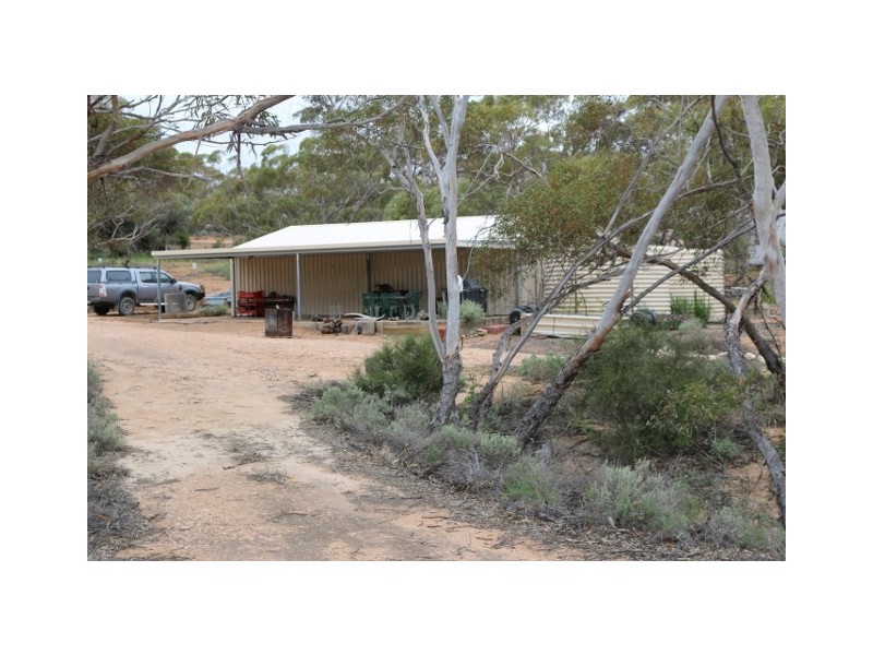3131 Murbko Road, Morgan SA 5320